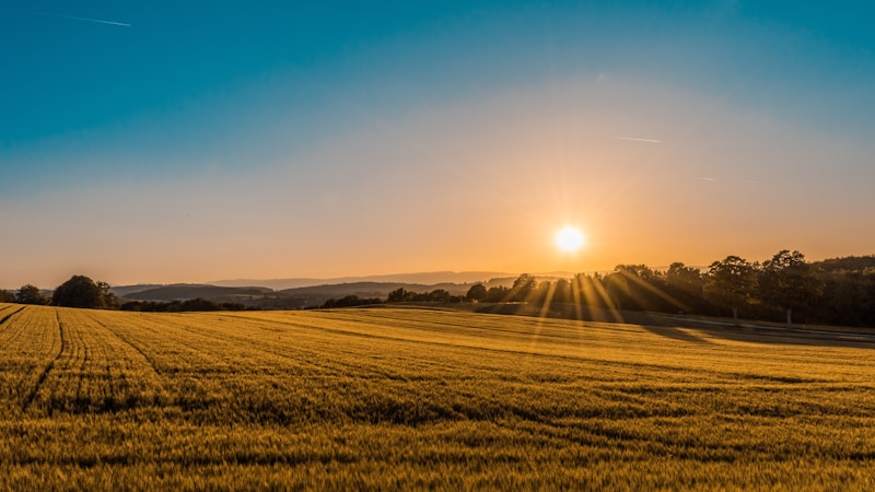 Smart Agriculture Land Classification